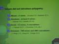 Misconceptions About Islaam Part 4 of 8