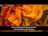 A Story of Great Repentance | Allah is The Most Forgivingᴴᴰ