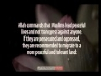 What is Jihad?