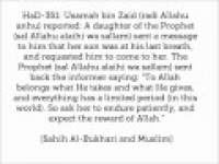 HaD-351 -- Self-composure during tribulation - hadithaday.org