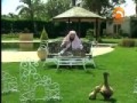 Magnificent Seven - with Shaikh. Waleed Basyouni - 05