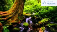 Springs and Fountains of Jannah - Anwar Al Awlaki