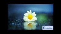 Women of Jannah - Anwar Al Awlaki
