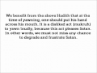 HaD-334 -- Covering the mouth when yawning - hadithaday.org