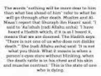 HaD-142 -- If My servant likes to meet me - hadithaday.org