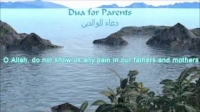 Muhammad Luhaidan | Du'a For Parents | English Translation
