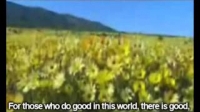 Muhammad Luhaidan Surah Az-Zukhruf Emotional Recitation! Verses 66 - 80
