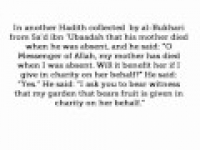 HaD- 61 - Seeking Forgiveness for your Parents - hadithaday.org