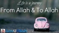 Life Is A Journey ᴴᴰ | From Allah To Allah