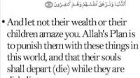 The Success of the Mujrimun (sinners, polytheists, idol worshippers, disbelievers) is a deception.