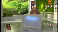 Advice of the Day - Shaikh Elmahdy Elaskary