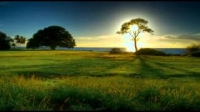 16The Mahdi - Isa (Jesus) will allow him to lead the prayer.