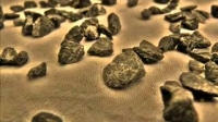 The Sciences of Hadith [Voice] Part 5/10 | Dr. Bilal Philips