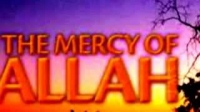 Don`t Despair from the Mercy of Allah by Karim AbuZaidDon`t Despair from the Mercy of Allah by Karim