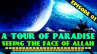 A Tour Of Paradise - Seeing The Face Of Allah ᴴᴰ ┇ Amazing Reminder ┇ The Daily Reminder ┇