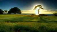 Yasir Qadhi -- The Mahdi Between Fact and Fiction 16/24
