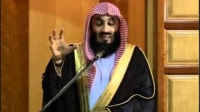 Mufti Menk - Guidance.avi