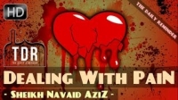 Dealing With Pain & Suffering ᴴᴰ ┇ Emotional ┇ by Sheikh Navaid Aziz ┇ The Daily Reminder ┇