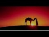 Sa'ad Al Aswad (RA) Story - No one give him their daughter to marry