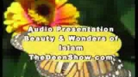 Another View of Islam Part 6/8 by Brother Abdur Raheem Green
