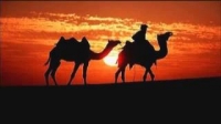 THE LIFE AND STRUGGLES OF IBN TAYMIYYAH - Abu Usamah At Thahabi