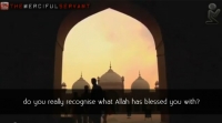 Deception of The Worldly Life ᴴᴰ ┇ Powerful Speech ┇ By Sh. Feiz Muhammad ┇ TDR ┇