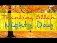 Thanking Allah Night & Day ᴴᴰ ┇ Must Watch ┇ By Sheikh Bilal Assad ┇ The Daily Reminder ┇