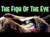 The Fiqh Of The Eye ᴴᴰ ┇ Must Watch ┇ The Daily Reminder ┇