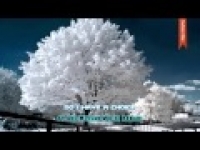 Do I Have a Choice - Abu Mussab Wajdi Akkari