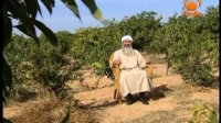 Even Animals Glorify Allah, Muhammad PBUH Messenger of Allah - Sheikh Hassan Zabadi
