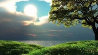 The rights of a Muslim over another Muslim Part 2